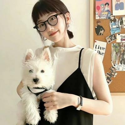 无间道第一季